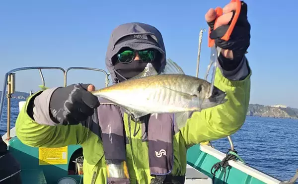 「40cm超えジャンボイサギ獲った！」天秤カゴフカセ釣りで良型美味魚が続々