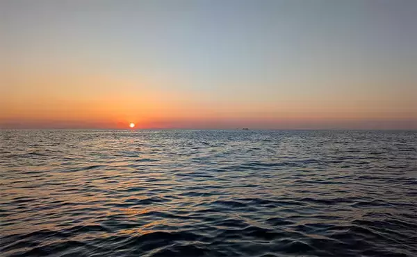 「「40cm超えジャンボイサギ獲った！」天秤カゴフカセ釣りで良型美味魚が続々」の画像