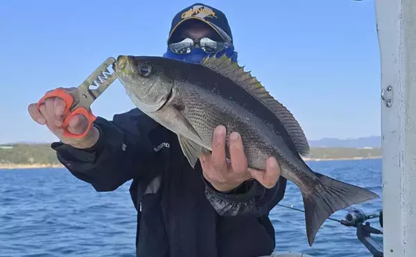 「「40cm超えジャンボイサギ獲った！」天秤カゴフカセ釣りで良型美味魚が続々」の画像