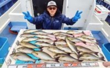 最大42cm！ジャンボイサキが荒食い！【船のエサ釣り釣果速報9選・愛知】