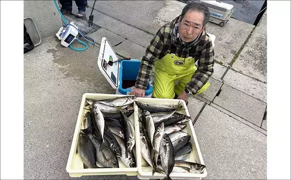 「最大42cm！ジャンボイサキが荒食い！【船のエサ釣り釣果速報9選・愛知】」の画像