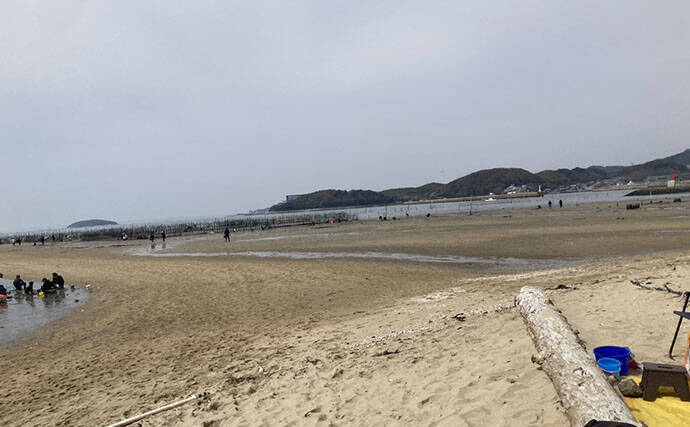 解禁直後の前島で10cm特大ハマグリを発見！【愛知】砂と粘土層の境界が狙い目