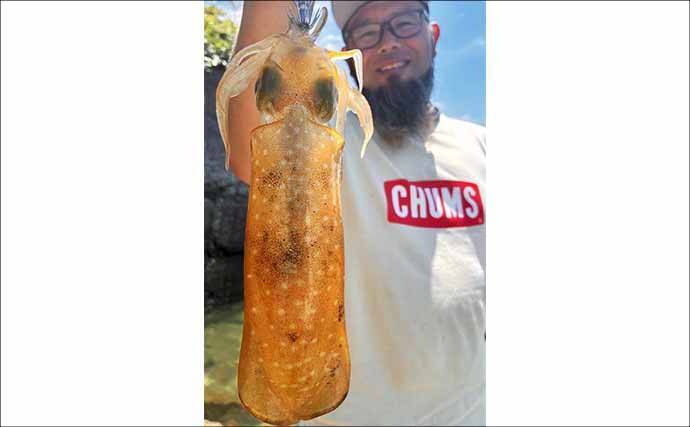 ランガンちょい投げ釣りで本命キス連打【熊本】ワームへのヒットは良型率高し！