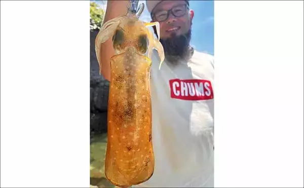 「ランガンちょい投げ釣りで本命キス連打【熊本】ワームへのヒットは良型率高し！」の画像