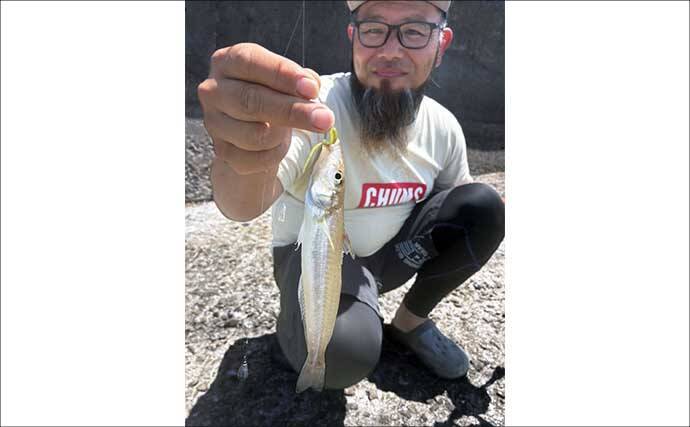 ランガンちょい投げ釣りで本命キス連打【熊本】ワームへのヒットは良型率高し！