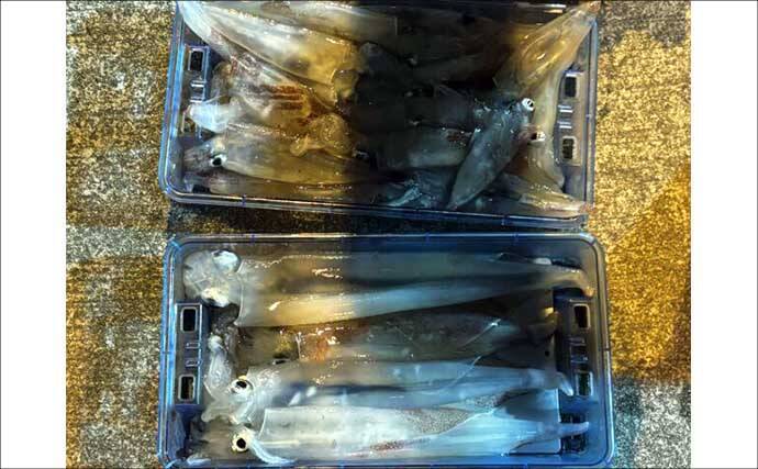 平戸沖ジギングでボッコにタカバと美味な根魚浮上【船釣り釣果速報6選：長崎／佐賀】