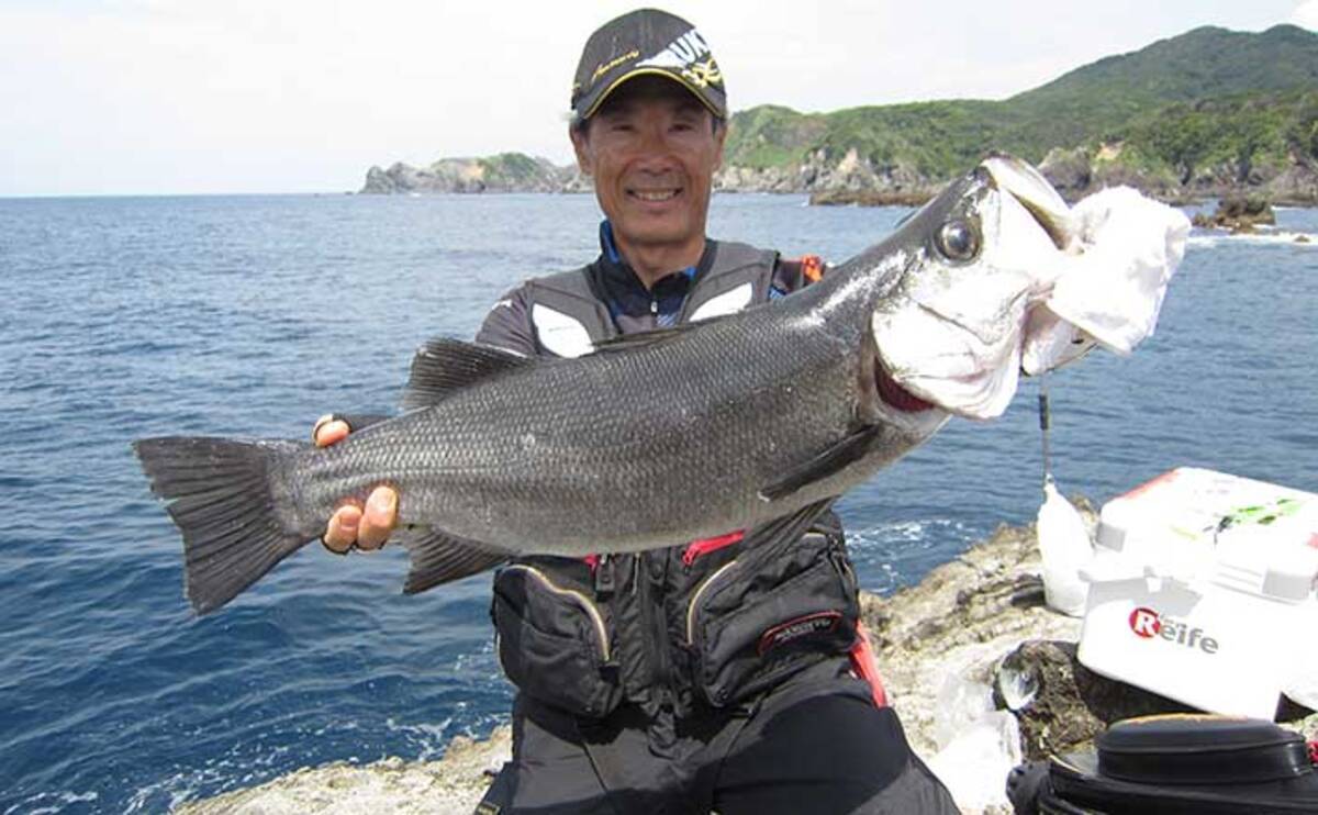 小サバ泳がせ釣りで75cmヒラスズキ フカセタックルで25分間の激闘制す 22年6月17日 エキサイトニュース