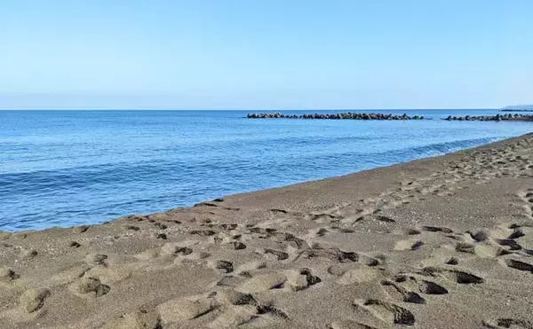 「福井・波松海岸の渚釣りで43cmクロダイ　大型は無念のハリス切れ」の画像
