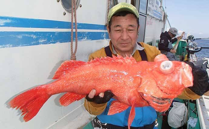 「水深1,000m超え！」超深海釣りで4kg級ベニアコウを釣り上げる【相模湾】