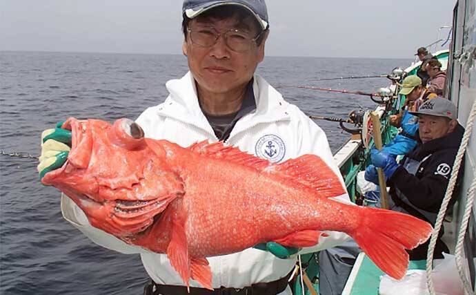 「水深1,000m超え！」超深海釣りで4kg級ベニアコウを釣り上げる【相模湾】