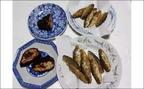 「岸和田沖一文字でのノマセ釣りで38cmツバスをキャッチ【大阪】青物シーズン本格化」の画像