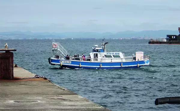 「岸和田沖一文字でのノマセ釣りで38cmツバスをキャッチ【大阪】青物シーズン本格化」の画像