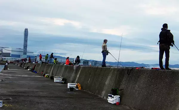 「岸和田沖一文字でのノマセ釣りで38cmツバスをキャッチ【大阪】青物シーズン本格化」の画像