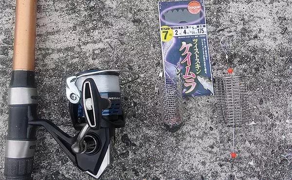 「岸和田沖一文字でのノマセ釣りで38cmツバスをキャッチ【大阪】青物シーズン本格化」の画像