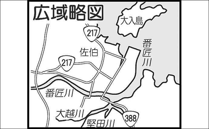 番匠川のメッキゲームで20cmを頭にツ抜け達成！【大分】メタルジグのただ巻きに好反応