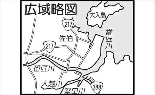 「番匠川のメッキゲームで20cmを頭にツ抜け達成！【大分】メタルジグのただ巻きに好反応」の画像