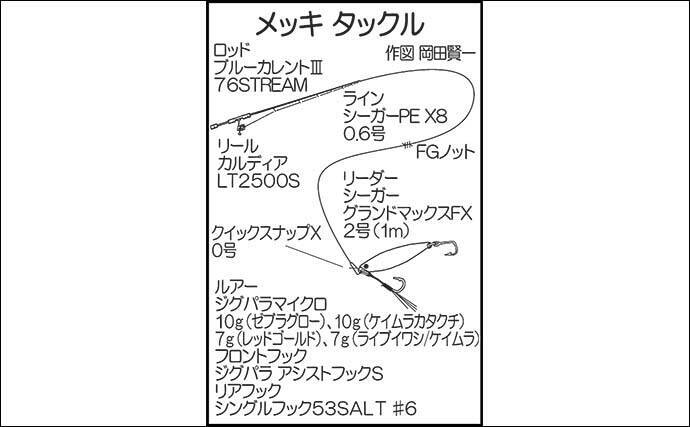 番匠川のメッキゲームで20cmを頭にツ抜け達成！【大分】メタルジグのただ巻きに好反応