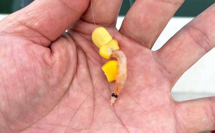 碧南釣り広場のウキフカセ釣り攻略：パイル周りでクロダイ38cm含む4匹キャッチ