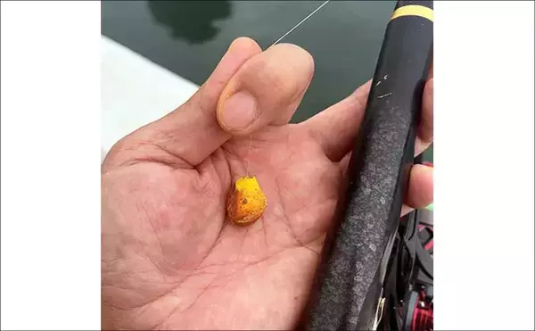 「碧南釣り広場のウキフカセ釣り攻略：パイル周りでクロダイ38cm含む4匹キャッチ」の画像