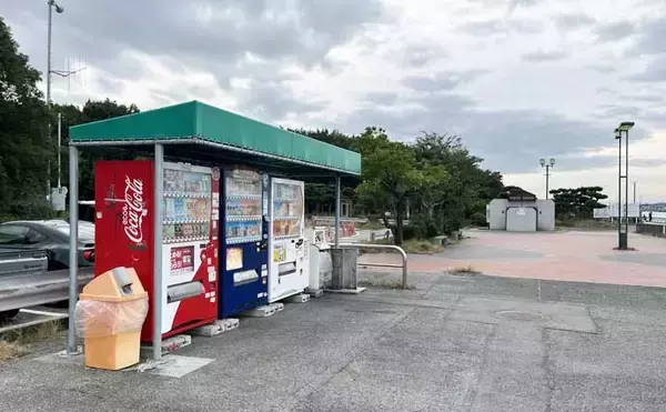 「碧南釣り広場のウキフカセ釣り攻略：パイル周りでクロダイ38cm含む4匹キャッチ」の画像