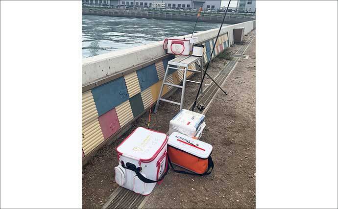 碧南釣り広場のウキフカセ釣り攻略：パイル周りでクロダイ38cm含む4匹キャッチ