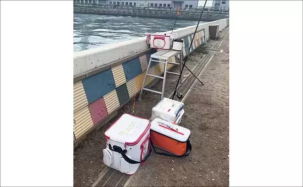 「碧南釣り広場のウキフカセ釣り攻略：パイル周りでクロダイ38cm含む4匹キャッチ」の画像