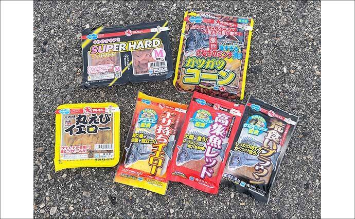 碧南釣り広場のウキフカセ釣り攻略：パイル周りでクロダイ38cm含む4匹キャッチ