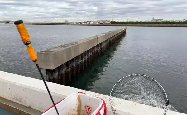 「碧南釣り広場のウキフカセ釣り攻略：パイル周りでクロダイ38cm含む4匹キャッチ」の画像