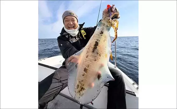 「【沖のルアー釣果速報】志摩沖のティップランエギングで1.2kg良型アオリイカ浮上（三重）」の画像