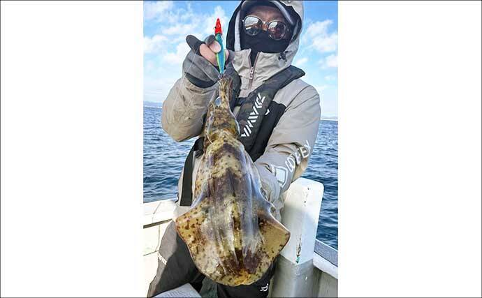 【沖のルアー釣果速報】志摩沖のティップランエギングで1.2kg良型アオリイカ浮上（三重）