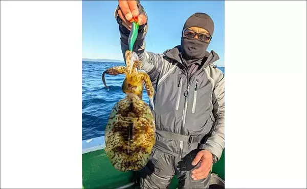 「【沖のルアー釣果速報】志摩沖のティップランエギングで1.2kg良型アオリイカ浮上（三重）」の画像