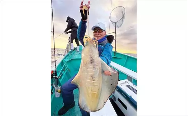 「【沖のルアー釣果速報】志摩沖のティップランエギングで1.2kg良型アオリイカ浮上（三重）」の画像