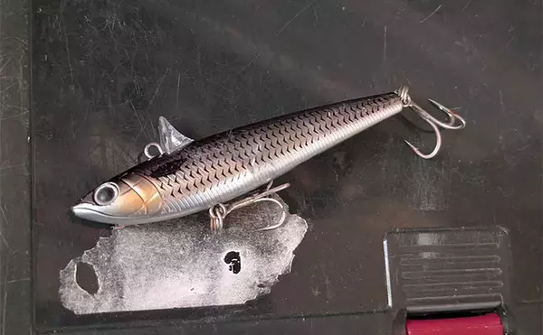 「真冬の「ハゼパターン」でシーバス2尾キャッチ！ 数少ないチャンスに全集中」の画像