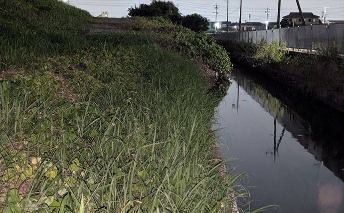 お手軽ルアー釣り「ナマズゲーム」入門　【場所・タックル・ルアー・時間帯・釣り方を解説】