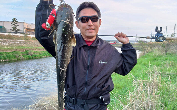 お手軽ルアー釣り「ナマズゲーム」入門　【場所・タックル・ルアー・時間帯・釣り方を解説】