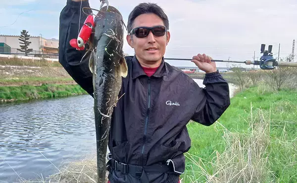 「お手軽ルアー釣り「ナマズゲーム」入門　【場所・タックル・ルアー・時間帯・釣り方を解説】」の画像