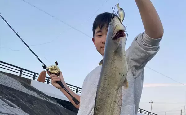 「お手軽ルアー釣り「ナマズゲーム」入門　【場所・タックル・ルアー・時間帯・釣り方を解説】」の画像