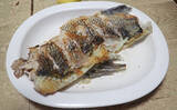 「釣った魚で作る「簡単調理」レシピ：クロダイの揚げ焼き　カリカリに焼いて」の画像1