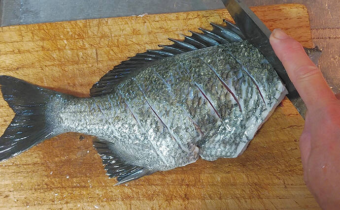 釣った魚で作る「簡単調理」レシピ：クロダイの揚げ焼き　カリカリに焼いて