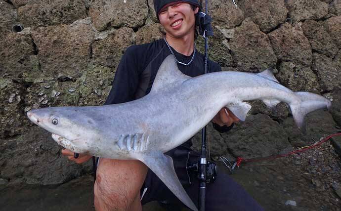 沖縄の独特過ぎる釣り【リバーシャークフィッシングの魅力と注意点】