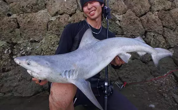 「沖縄の独特過ぎる釣り【リバーシャークフィッシングの魅力と注意点】」の画像
