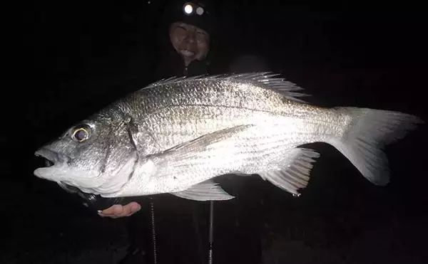 「沖縄の独特過ぎる釣り【リバーシャークフィッシングの魅力と注意点】」の画像