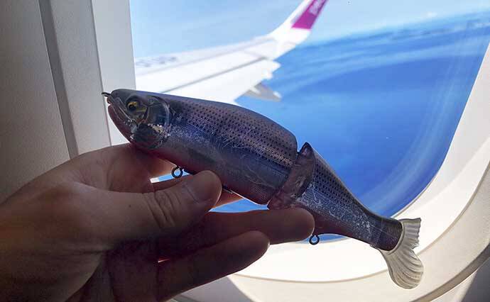 沖縄の独特過ぎる釣り【リバーシャークフィッシングの魅力と注意点】