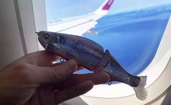 「沖縄の独特過ぎる釣り【リバーシャークフィッシングの魅力と注意点】」の画像