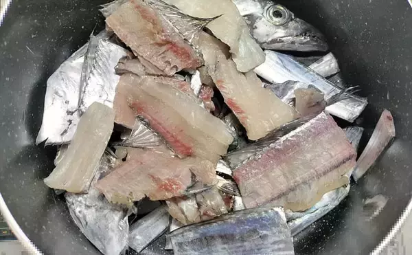 「富山湾で旬本番のタチウオを食べ尽くす　刺し身から天ぷらまで絶品料理8選をご紹介」の画像