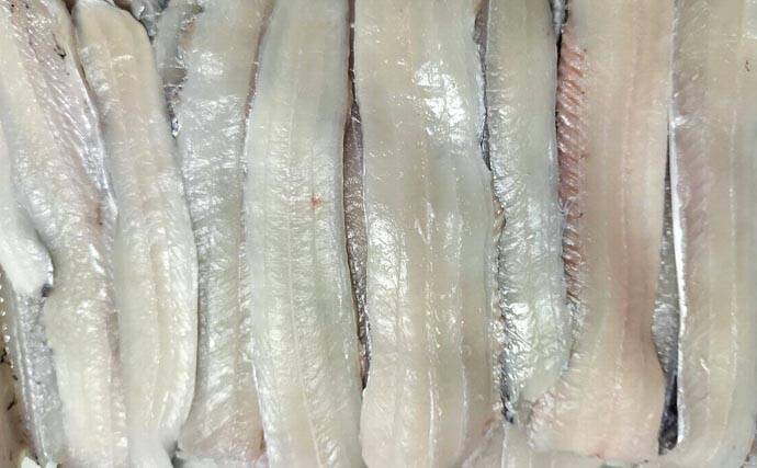 富山湾で旬本番のタチウオを食べ尽くす　刺し身から天ぷらまで絶品料理8選をご紹介