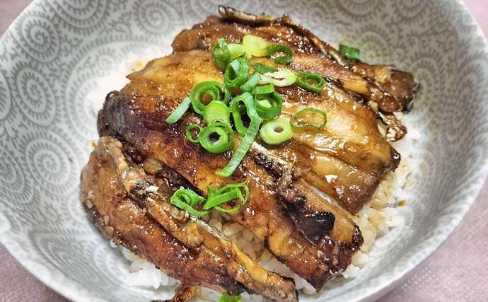 富山湾で旬本番のタチウオを食べ尽くす　刺し身から天ぷらまで絶品料理8選をご紹介