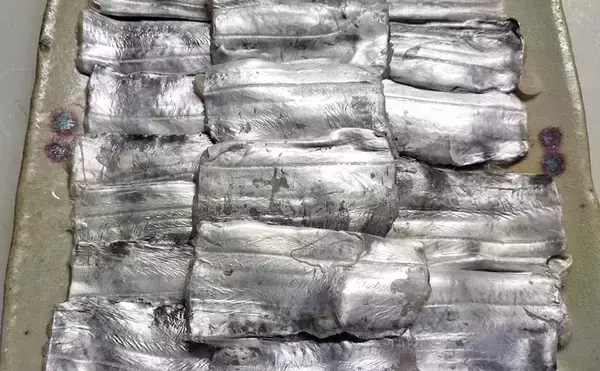 「富山湾で旬本番のタチウオを食べ尽くす　刺し身から天ぷらまで絶品料理8選をご紹介」の画像