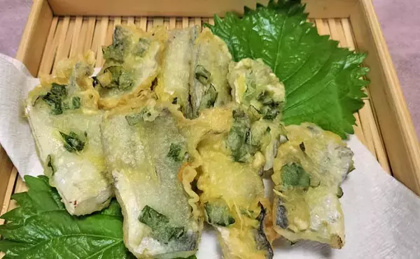 「富山湾で旬本番のタチウオを食べ尽くす　刺し身から天ぷらまで絶品料理8選をご紹介」の画像