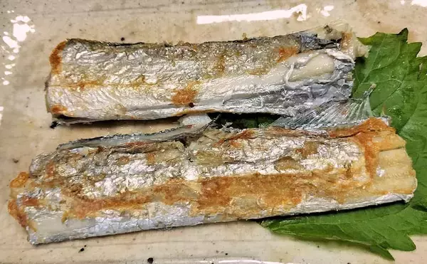 「富山湾で旬本番のタチウオを食べ尽くす　刺し身から天ぷらまで絶品料理8選をご紹介」の画像